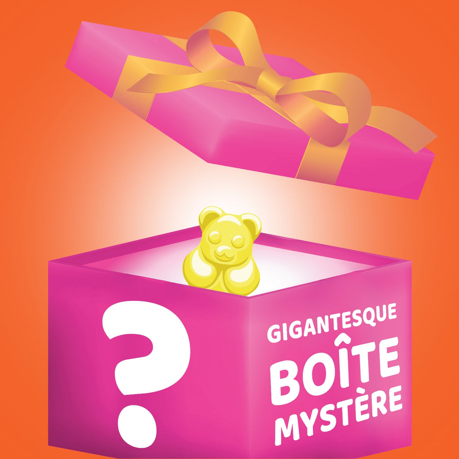 GIGANTESQUE BOÎTE MYSTÈRE