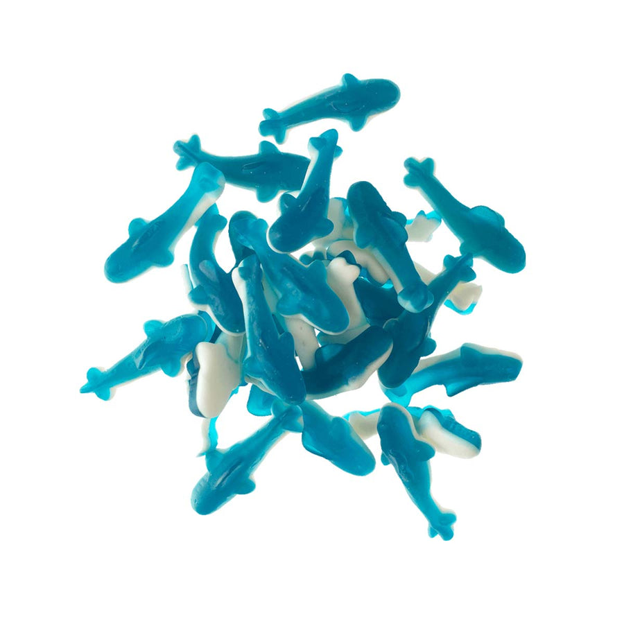 REQUINS GUMMY (100G)